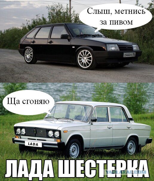Забавные картинки из сети