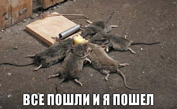 Прикольные картиночки