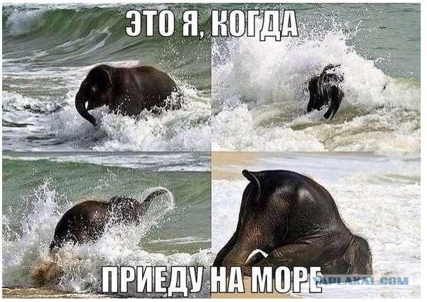 Веселости