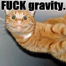 Fuck Off, Gravity!