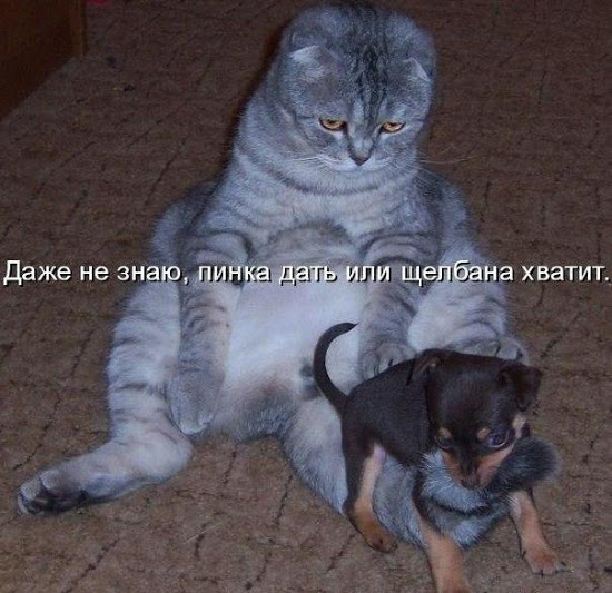 Подборка картинок