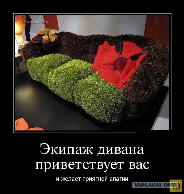 1 августа -  День Домашних Диванных Войск!