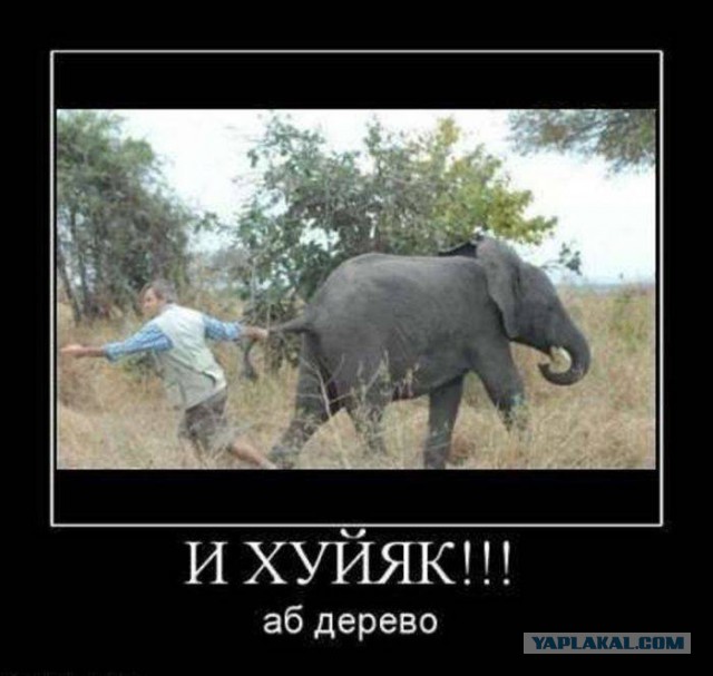 Вторник-повторник