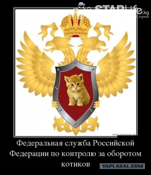 Сборник "баянов" со всего Интернета - 2