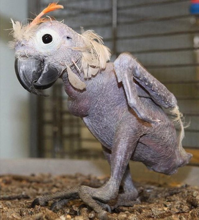 Одну секундочку