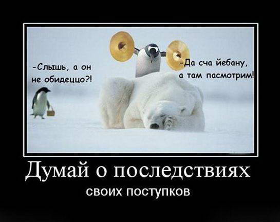 Прикольные картинки и демотиваторы