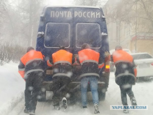 На «Почте России» банку икры заменили на воду из-под крана