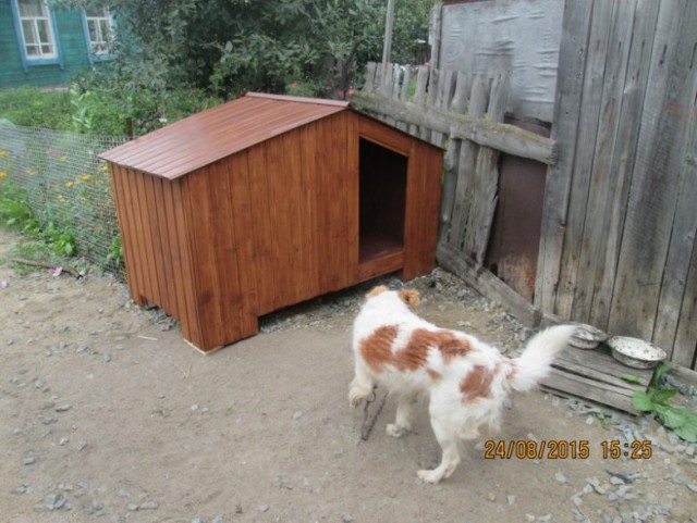 Будка для собаки своими руками.