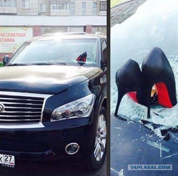 Интересные и веселые картинки