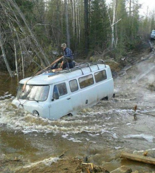 Интересные и веселые картинки