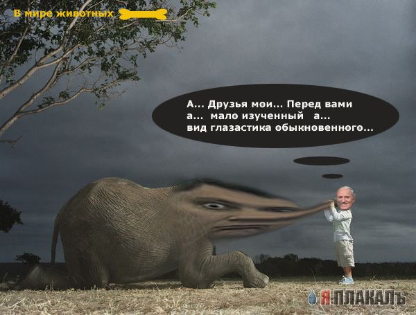 Фотожаба: Дареному слону..