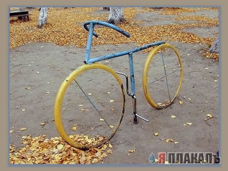 Битва Соффи и Эдуардо на картинках