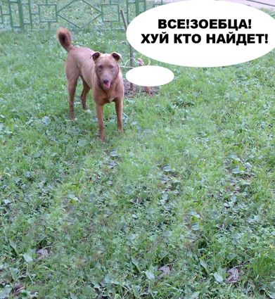 Фотожаба: да здесь где-то недалеко!