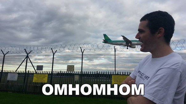 Картинки и приколы из сети