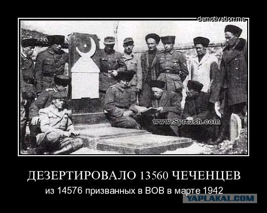 Бой с Емельяненко