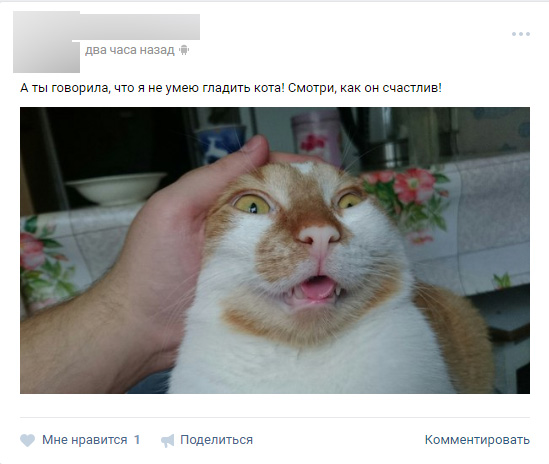 Смешные комментарии 23.10.2016