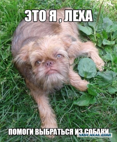 Лёха ты где?