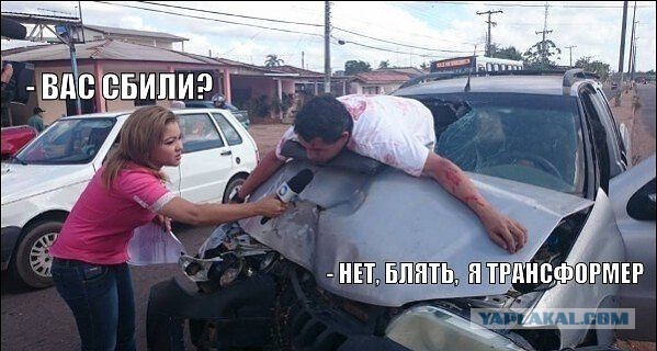 Порция картинок