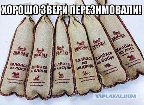 Ужин в зимовье.