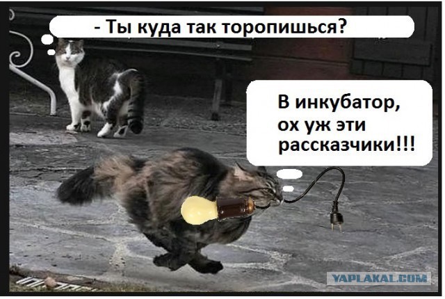 Скутеристы достали