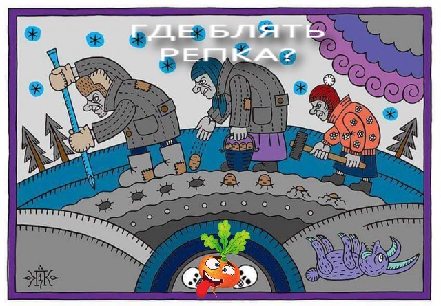 Порция воскресных картинок