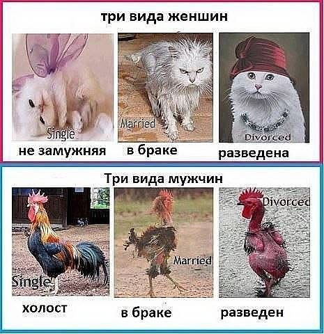 Брак изжил себя и больше не нужен мужчине
