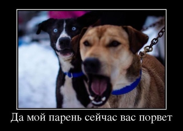 За мой счёт!