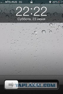 Волшебные грибочки