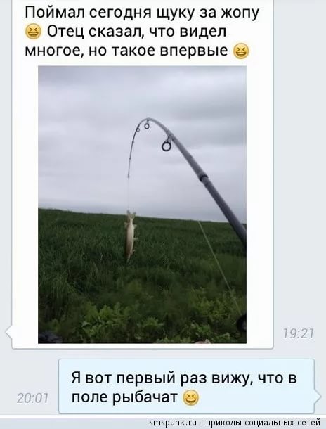 Бросай работать, пошли деградировать!
