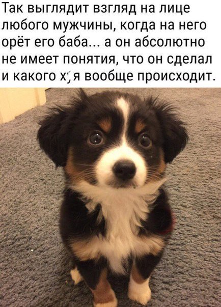 Вечер пятницы подкатил, час картинок наступил!