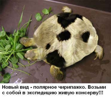 Глубокое декольте, как магнит для глаз