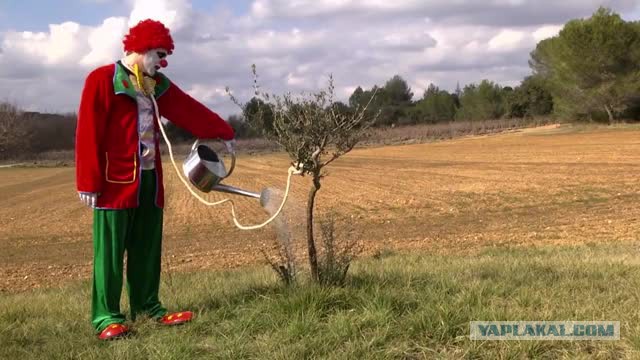 Видео от японца, который точит всё