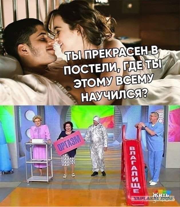 Стандартный адекватный юмор в картинках для всех