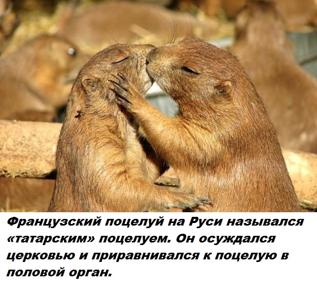 Подборка бесполезных фактов.