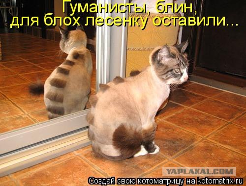 Карлсон вернулся