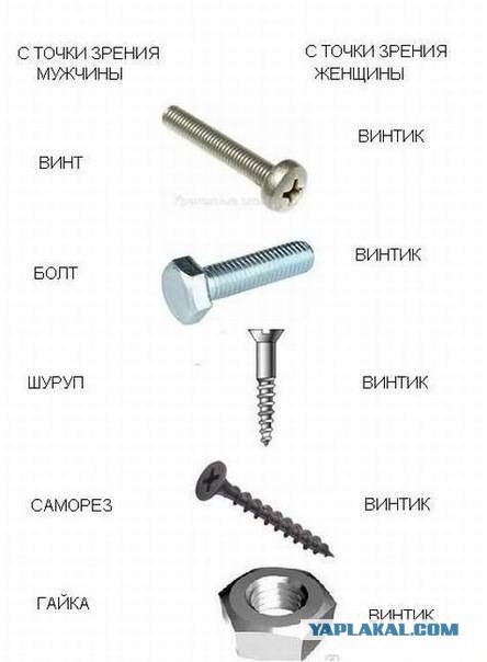 Девушка и шуруповерт