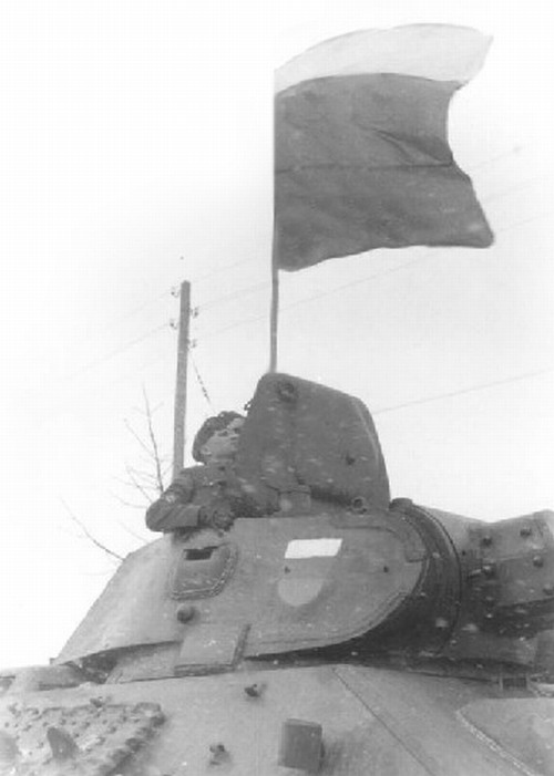 Негодяй кинул цветы в памятник Сталина