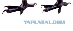 Угадайки
