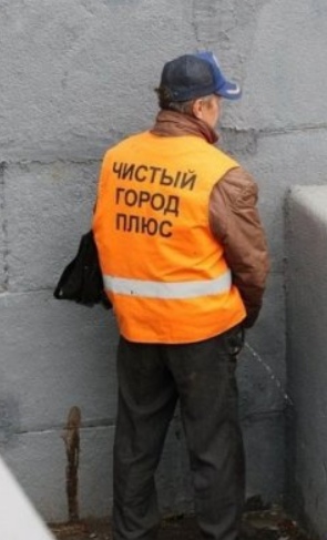 Скотсети и прочие интернеты 05.04.19