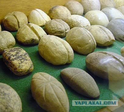 Угадайки