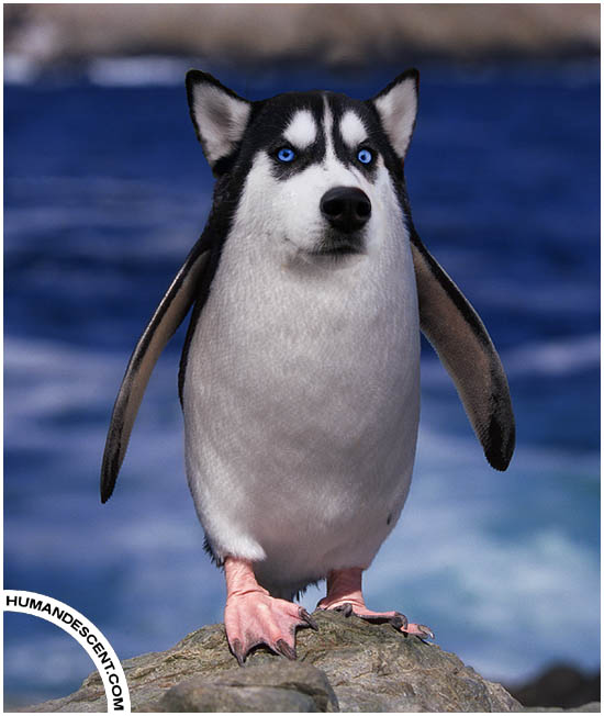 Соединяя несоединимое.