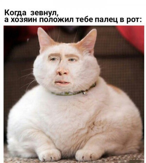 Бредзона 10.01.2020