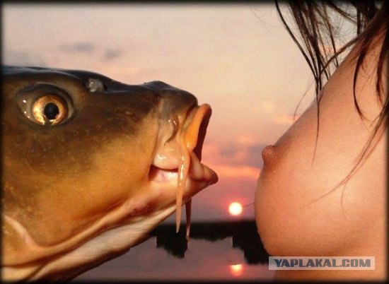 Календарь от Мосметрорекламы. 18+