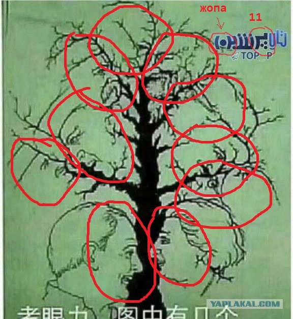 Что вытворяет девушка, когда ее бросают?