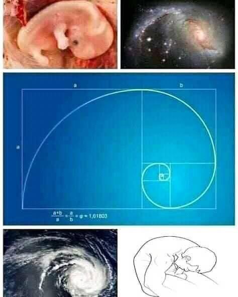 Моральный вандализм