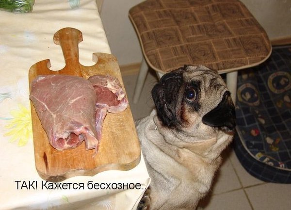 Чуток картинок.  Вечерние
