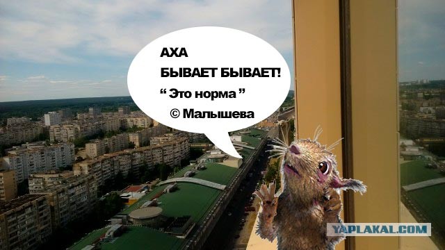 А у Вас какой вид из окна?