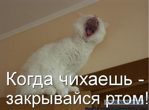 Даёшь картинкой по среде (26.02.2020)