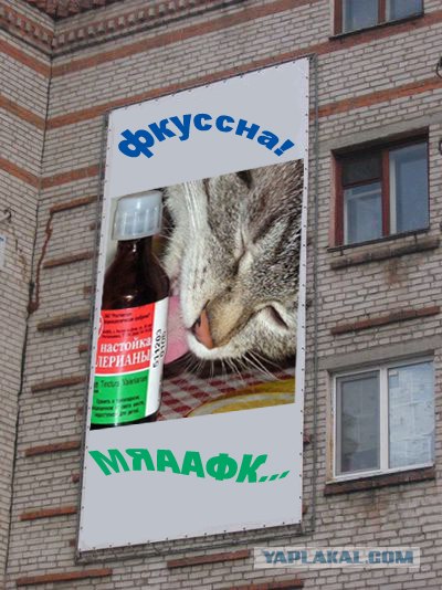 Фотожаба: Социалка про наркотики