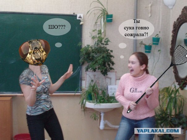 Отжабьте меня пожалуйста